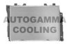 AUTOGAMMA 102165 Radiator, engine cooling